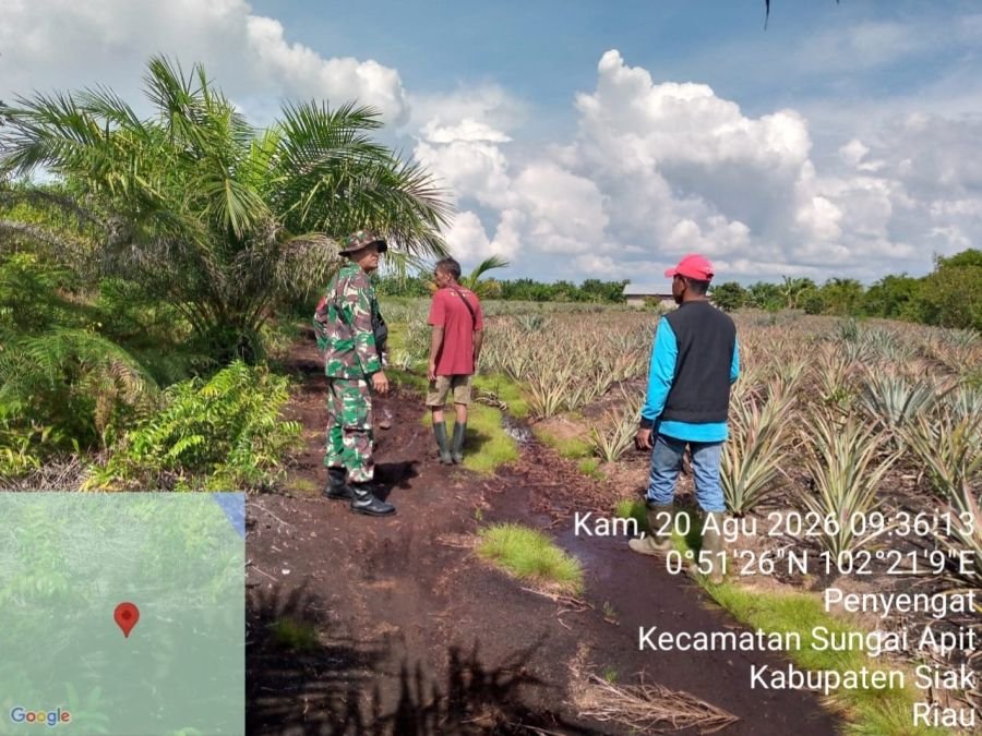 Patroli Karhutla di Penyengat, Babinsa Pastikan Wilayah Aman dari Titik Api