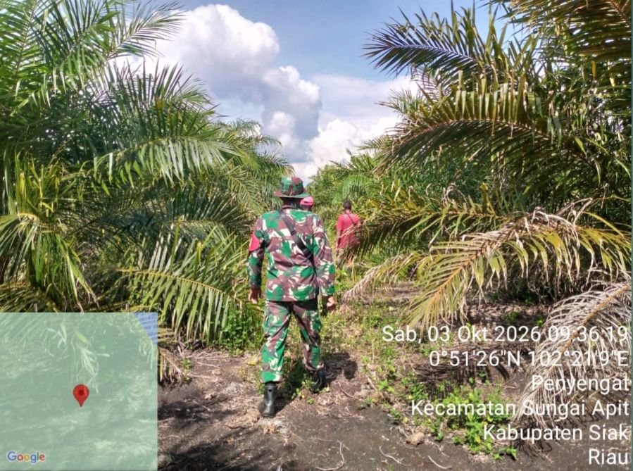 Patroli Karhutla di Penyengat, Babinsa Koramil 02/Sungai Apit Tak Temukan Titik Api