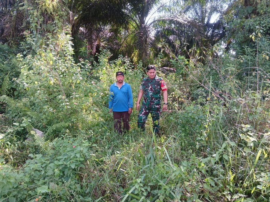 Patroli Karhutla di Rumbai Timur, Babinsa Bersama MPA Temukan Nihil Hotspot dan Titik Asap