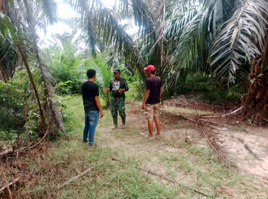 Patroli Karhutla di Talang Jangkang Nihil Titik Api, Situasi Aman Terkendali