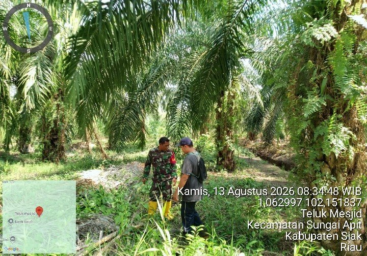 Patroli Karhutla di Teluk Mesjid, Babinsa Pastikan Titik Api Nihil