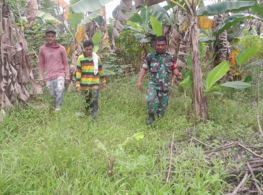 Patroli Karhutla Digencarkan, Babinsa Pantau Titik Rawan Perawang Barat