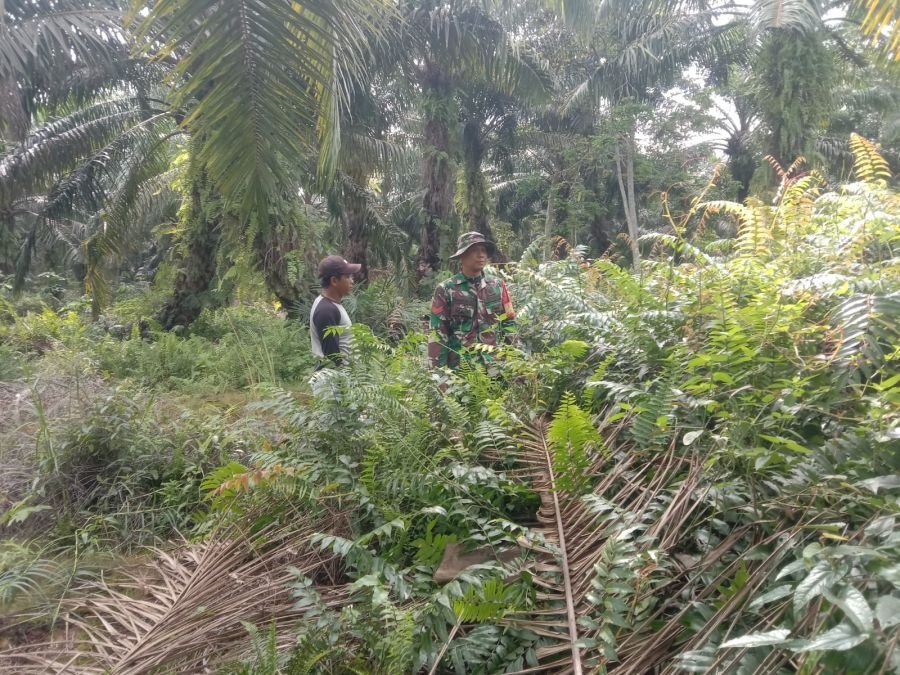 Patroli Karhutla Digencarkan, Babinsa Libatkan Warga Parit Kebumen