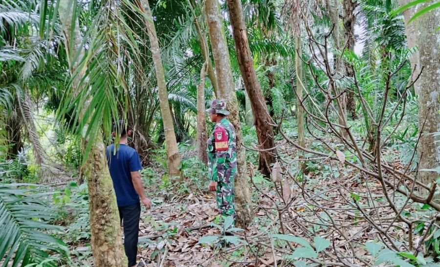 Patroli Karhutla Digencarkan, Babinsa Libatkan Warga Jaga Hutan
