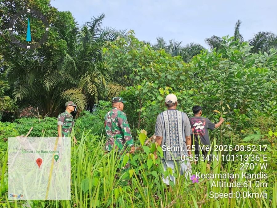Patroli Karhutla Digencarkan, Babinsa Kandis Turun Langsung ke Lahan Rawan