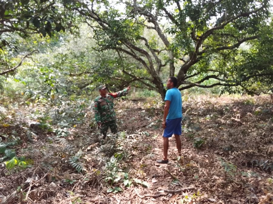 Patroli Karhutla Digencarkan, Babinsa dan Warga Sisir Hutan Rupat