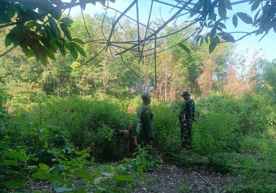 Patroli Karhutla Diperketat, Sertu Wahirman Pantau Sukarjo Mesim