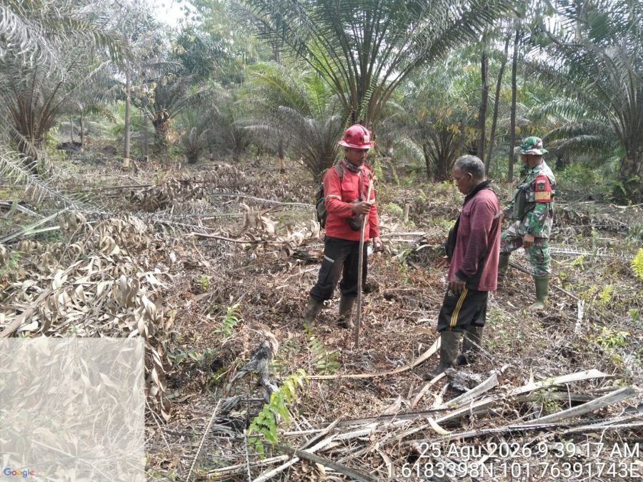 Patroli Karhutla Diperkuat, Babinsa dan Manggala Agni Sasar Wilayah Rawan di Sepahat