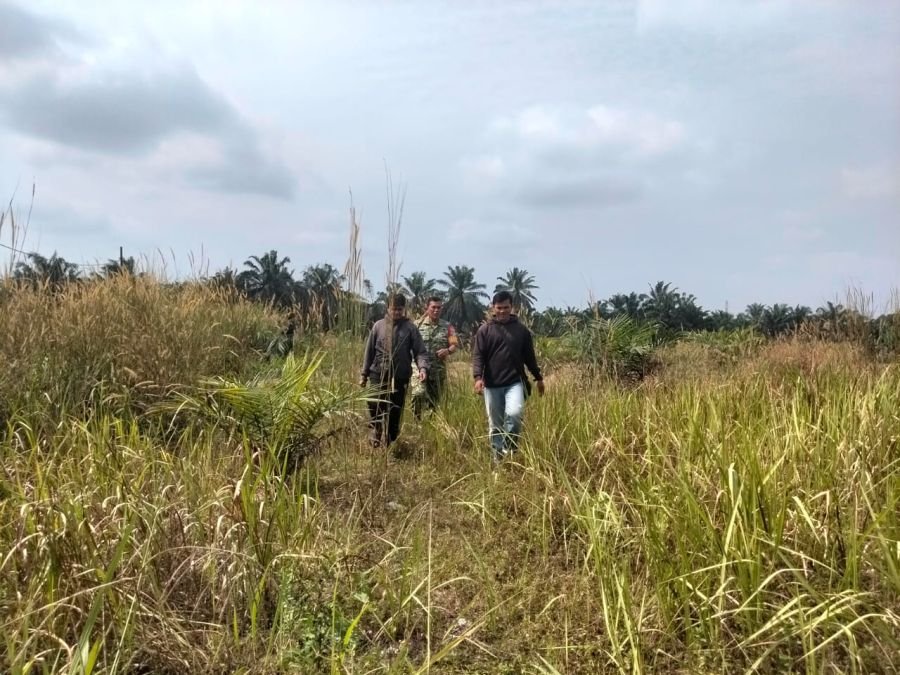 Patroli Karhutla Diperkuat, Babinsa Koramil 04/Perawang dan Warga Sisir Pinang Sebatang Timur