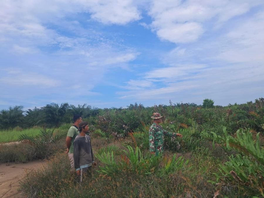 Patroli Karhutla Diperkuat, Babinsa Sisir Lahan Rawan di Makeruh