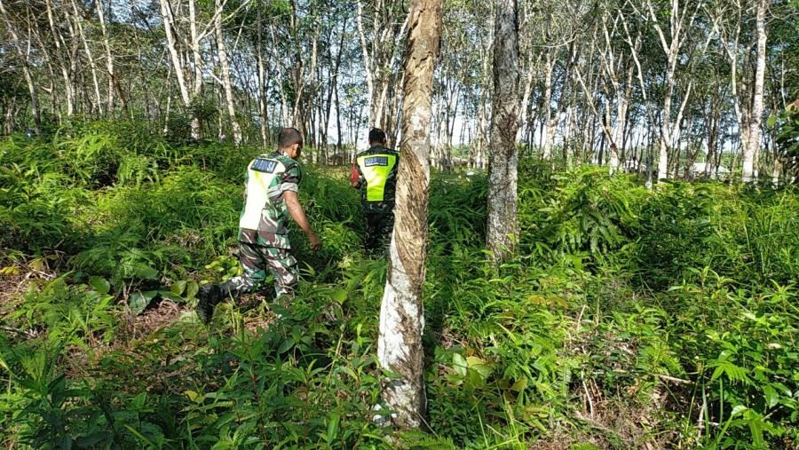 Patroli Karhutla Ditingkatkan, Babinsa Sisir Wilayah Rawan