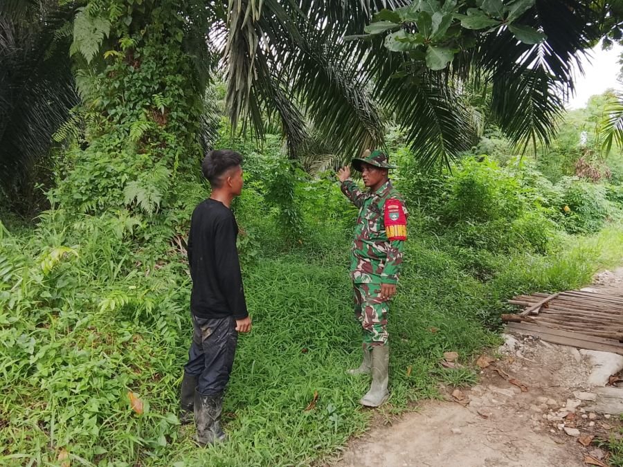 Patroli Karhutla Intensif, Babinsa Edukasi Warga Agar Tidak Membakar Lahan