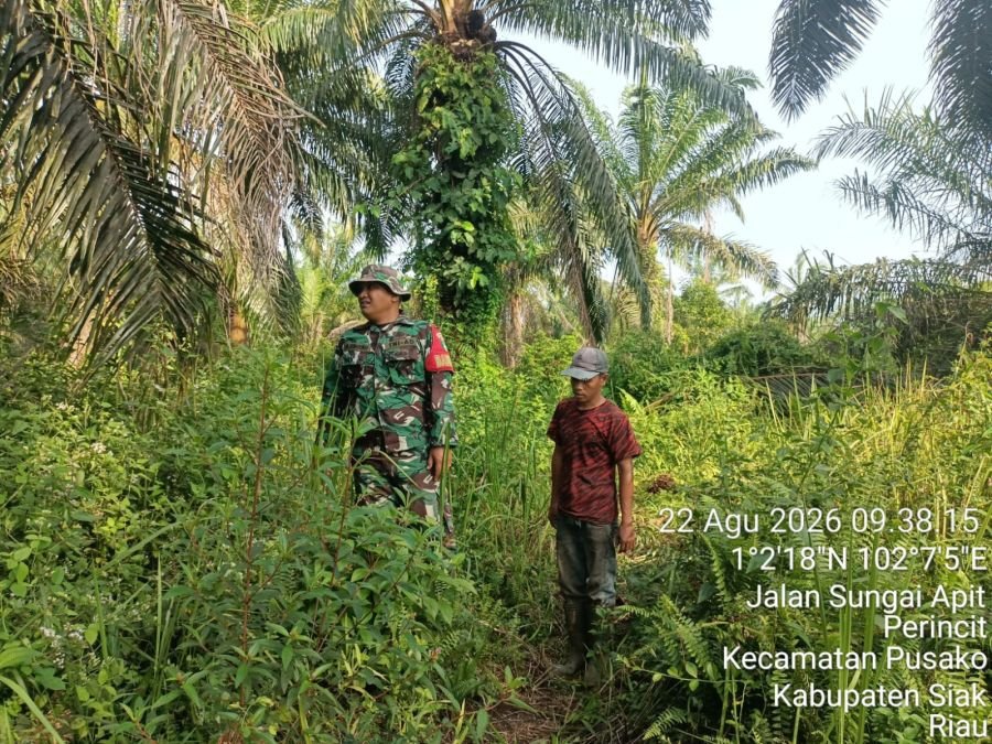 Patroli Karhutla Koramil 02 Pantau Perincit, Titik Api Nihil