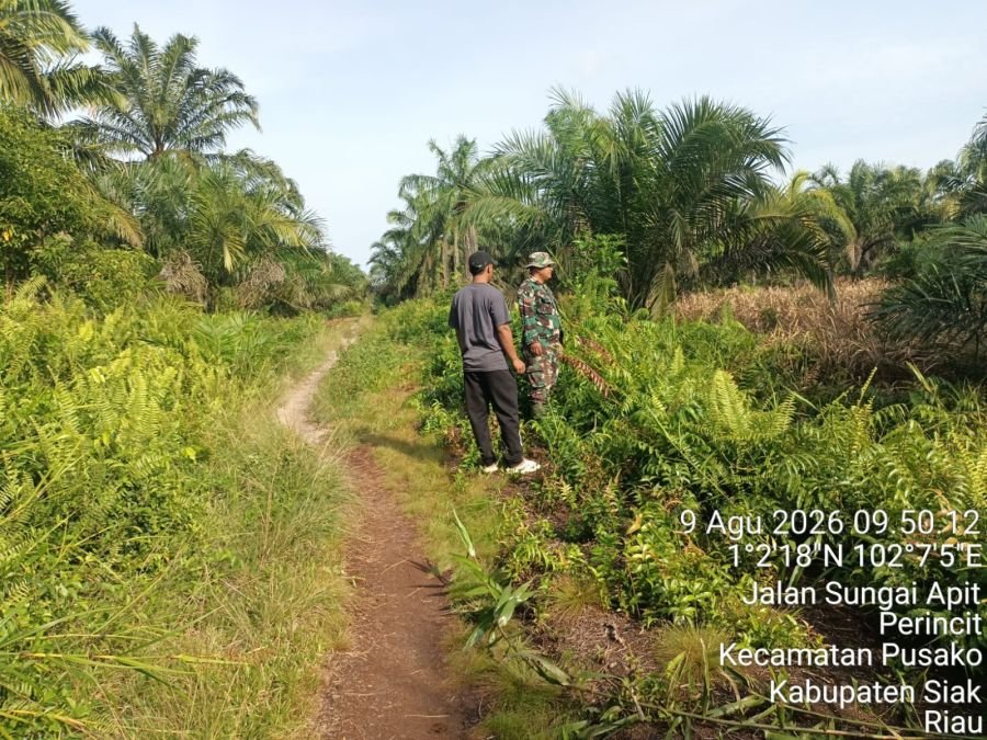 Patroli Karhutla Koramil 02 Sungai Apit Pastikan Perincit Bebas Titik Api