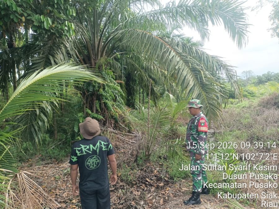 Patroli Karhutla Koramil 02/SA Pastikan Dusun Pusaka Aman dari Titik Api