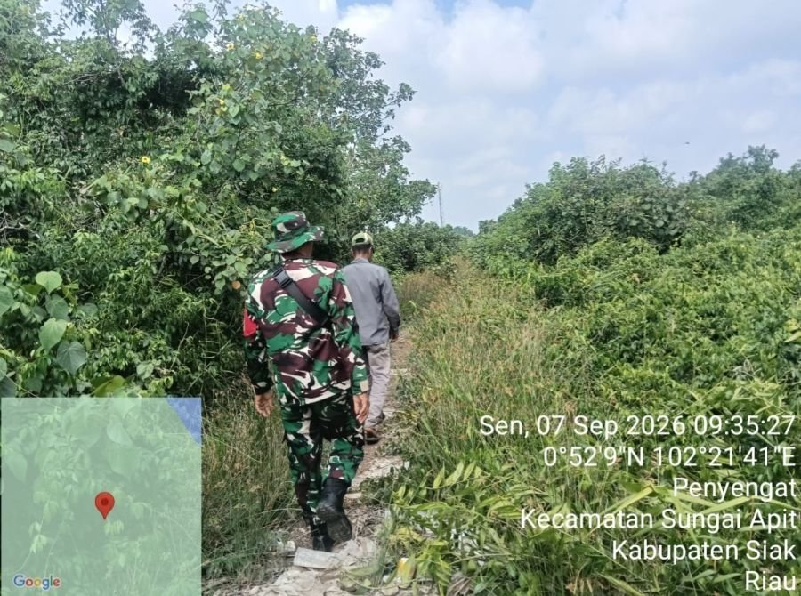 Patroli Karhutla Koramil 02/Sungai Apit Pastikan Penyengat Nihil Titik Api