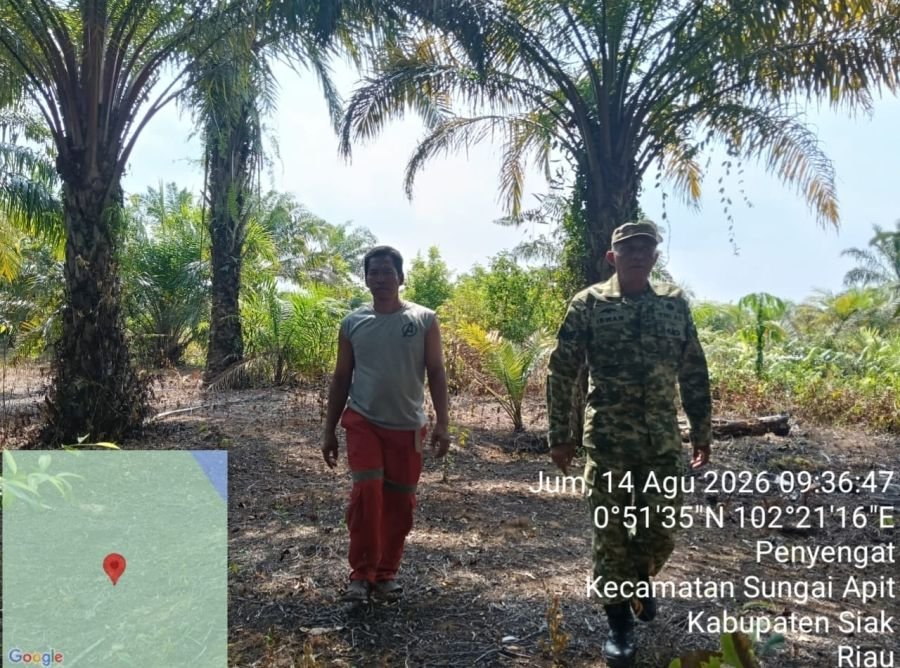 Patroli Karhutla Koramil 02/Sungai Apit Pastikan Wilayah Penyengat Nihil Titik Api