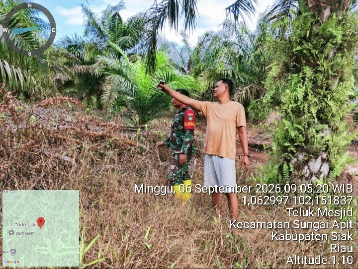 Patroli Karhutla Koramil 02/Sungai Apit, Teluk Mesjid Nihil Titik Api