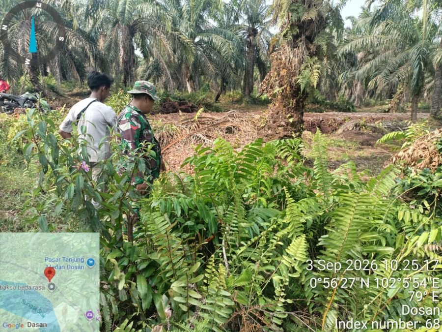 Patroli Karhutla Koramil 02/Sungai Apit Nihil Titik Api di Kampung Dosan