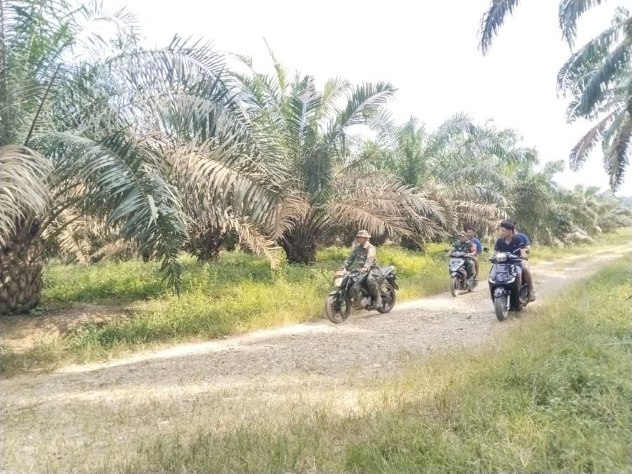 Patroli Karhutla Koramil 08/Tdn - Kodim 0313/Kpr di Desa Kabun: Titik Hotspot Nihil