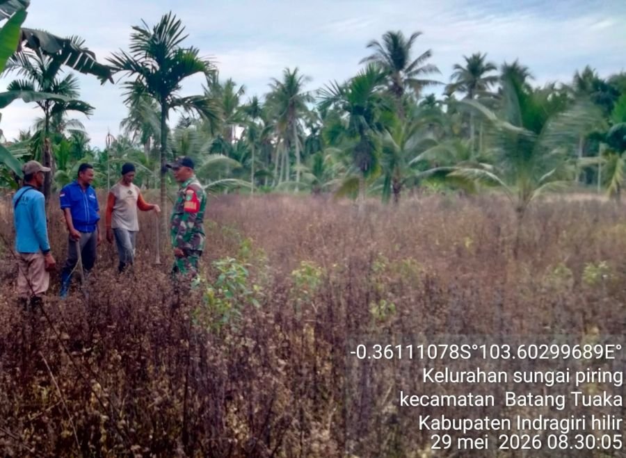 Patroli Karhutla Koramil 12/Btk Pastikan Kuala Sebatu Aman dari Titik Api