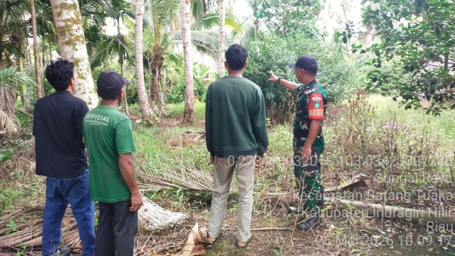 Patroli Karhutla Koramil 12/Btk Pastikan Wilayah Pasir Mas Aman