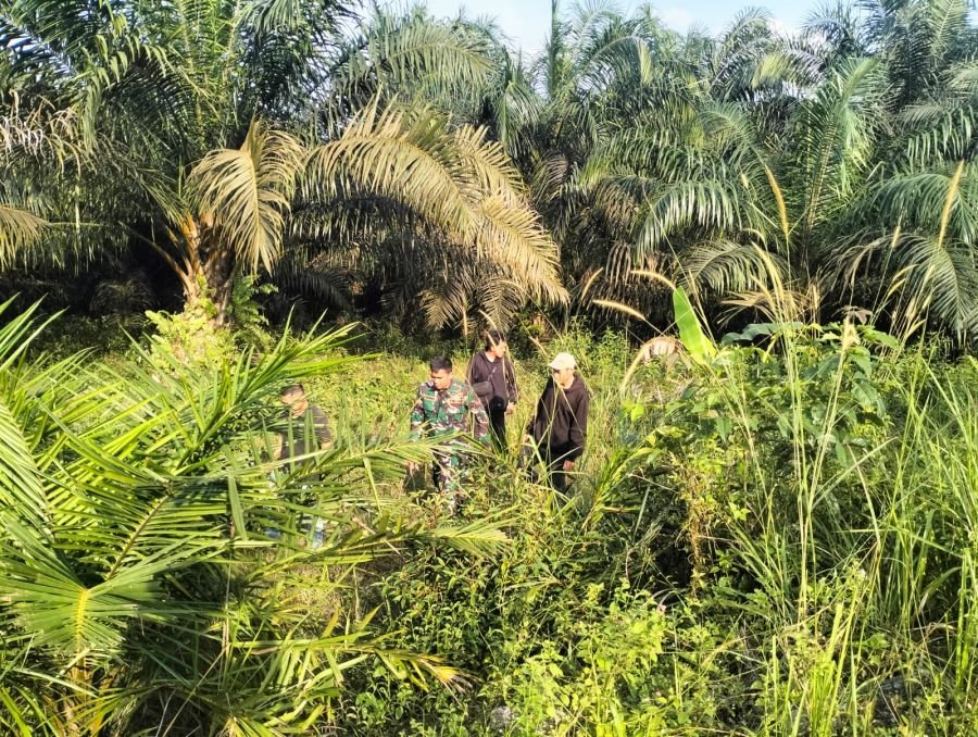 Patroli Karhutla Koramil Minas Pastikan Wilayah Bebas Titik Api