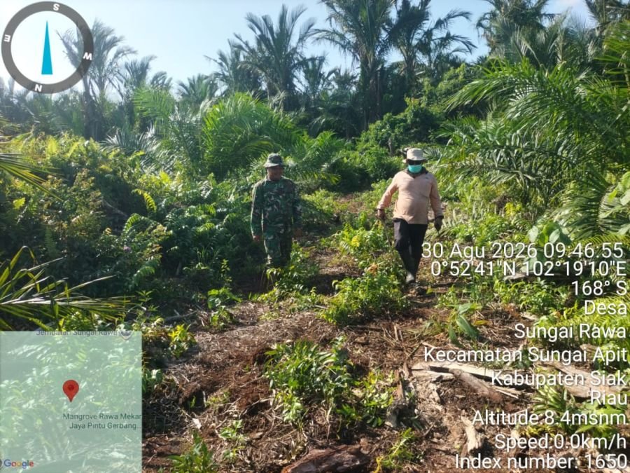 Patroli Karhutla Koramil Sungai Apit Pastikan Pusako Bebas Titik Api