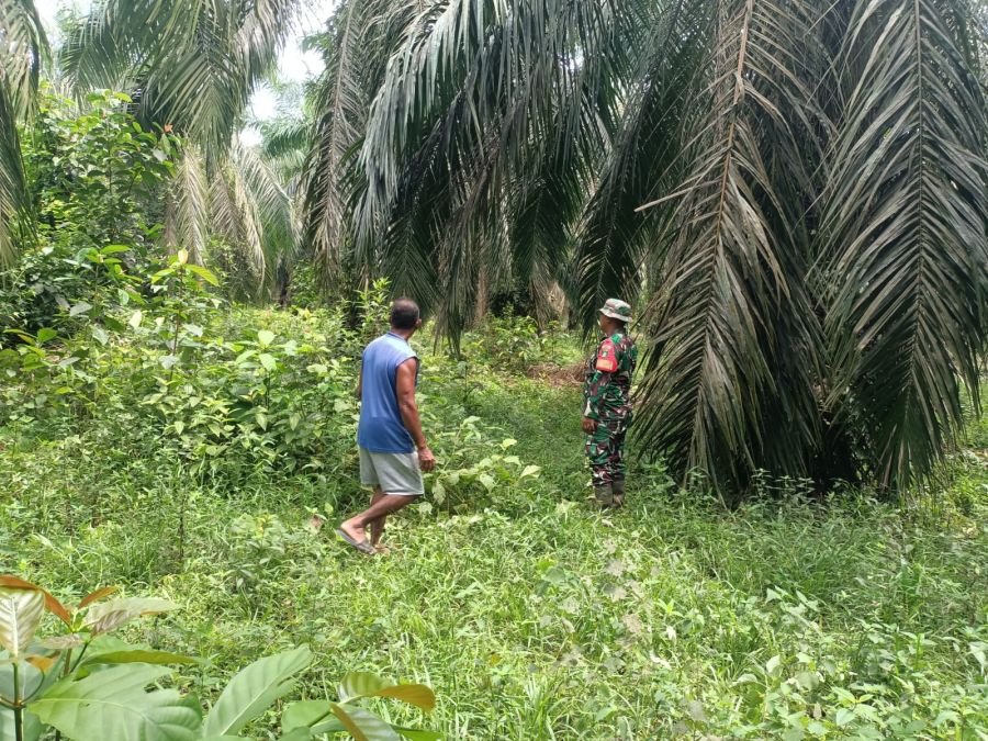 Patroli Karhutla Koramil Sungai Apit Pastikan Perincit Bebas Titik Api
