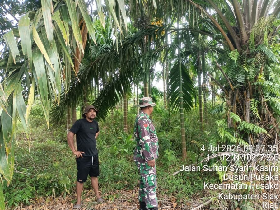 Patroli Karhutla Koramil Sungai Apit Pastikan Pusako Bebas Titik Api