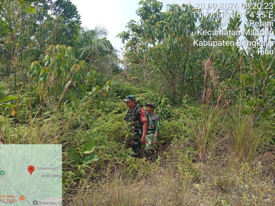 Babinsa Mandau Patroli Karhutla, Tak Temukan Titik Api di Desa Petani
