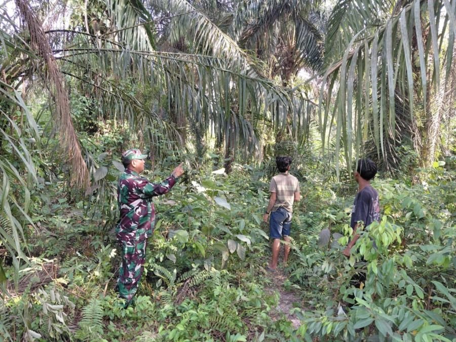 Patroli Karhutla Rutin, Babinsa Rupat Perkuat Pencegahan Kebakaran Lahan