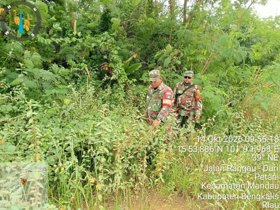 PATROLI KARHUTLA RUTIN DI JALAN SAKURA PEMATANG PUDU, WILAYAH AMAN DARI TITIK API