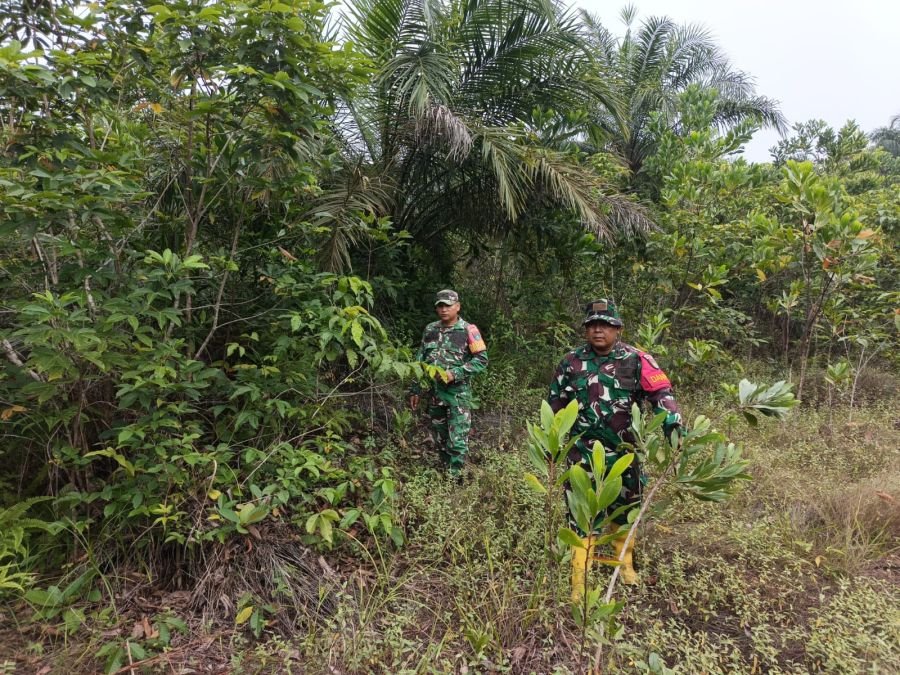 PATROLI KARHUTLA RUTIN DI JALAN TANPA NAMA, PETANI — WILAYAH AMAN BEBAS API