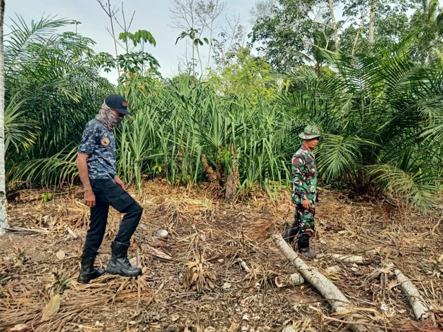 Patroli Karhutla Sungai Apit, Koramil 02 Pastikan Wilayah Teluk Batil Aman
