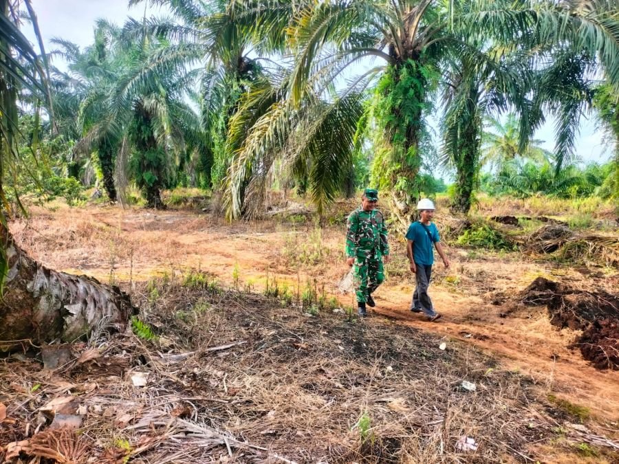 Patroli Karhutla Sungai Apit Pastikan Nihil Titik Api di Sungai Rawa