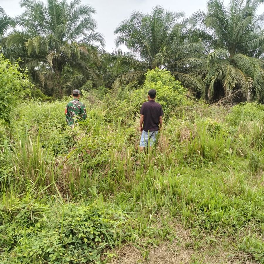 Patroli Karhutla Sungai Daun: Babinsa Kubu Pastikan Wilayah Tetap Aman