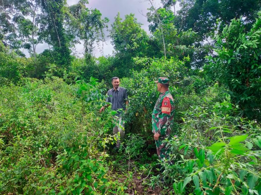 Patroli Karhutla Terus Digencarkan, Babinsa Koramil 06/Merbau Pastikan Desa Semukut Bebas Titik Api