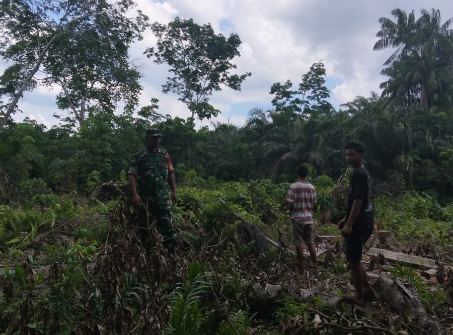 Patroli Karhutla Terus Digencarkan, Babinsa Koramil 05/Bukit Batu Sisir Wilayah Rawan Kebakaran