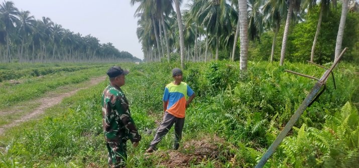 Patroli Karhutlah Diperketat, Babinsa Koramil 11/PBR Pastikan Sri Danai Aman