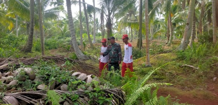 Patroli Karhutla di Pulau Burung Nihil Titik Api, Babinsa Libatkan Warga