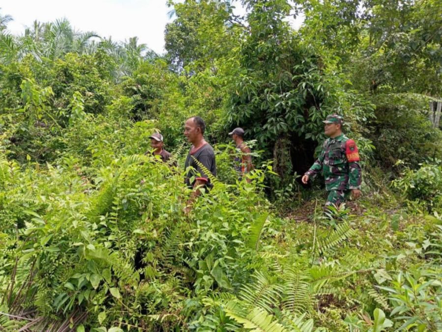 Patroli Rutin Babinsa Bukit Batu Perkuat Pencegahan Karhutla di Pangkalan Jambi