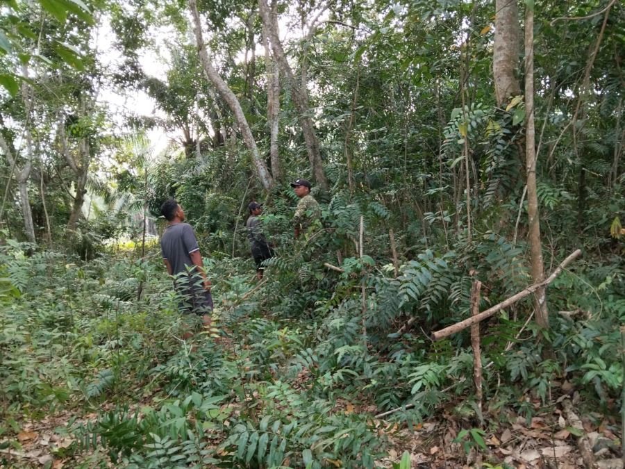 Patroli Rutin, Babinsa dan Masyarakat Cegah Karhutla di Tanjung Leban
