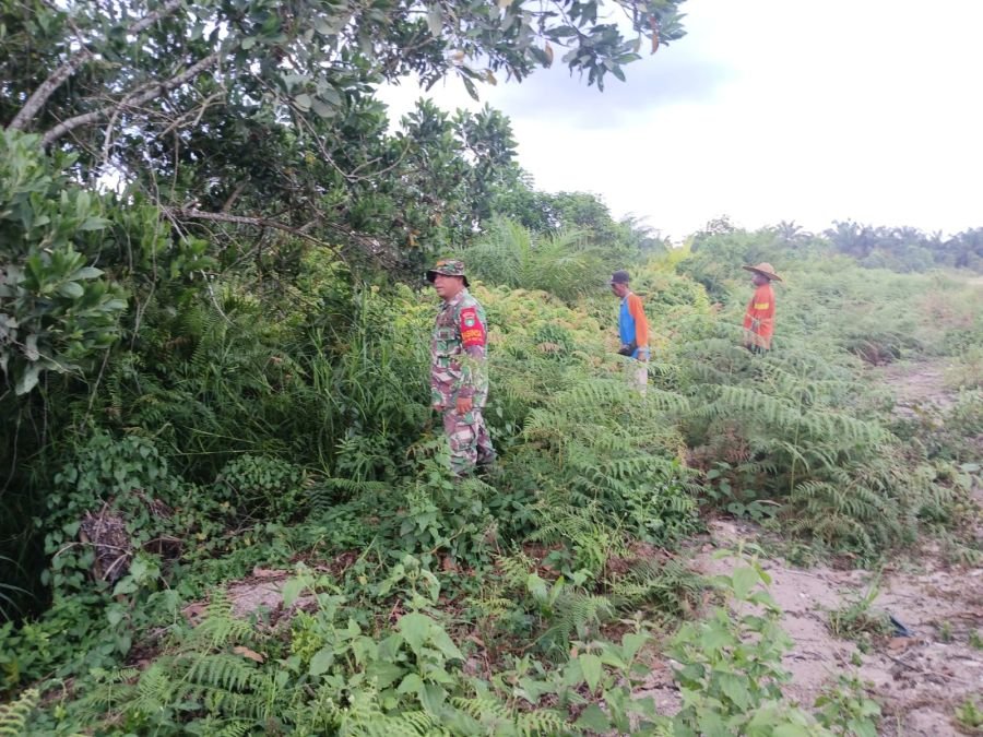 Patroli Rutin Babinsa di Lubuk Gaung, Upaya Nyata Cegah Karhutla Sejak Dini
