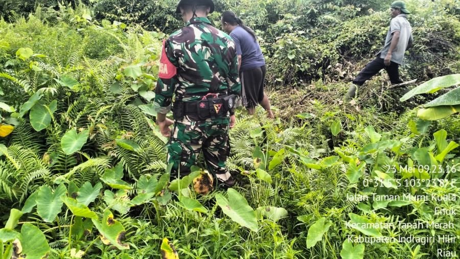 Patroli Rutin Babinsa Kuala Enok Peratu Jafat Koramil 02/TM Tapal Batas Dipastikan Nihil Titik Api