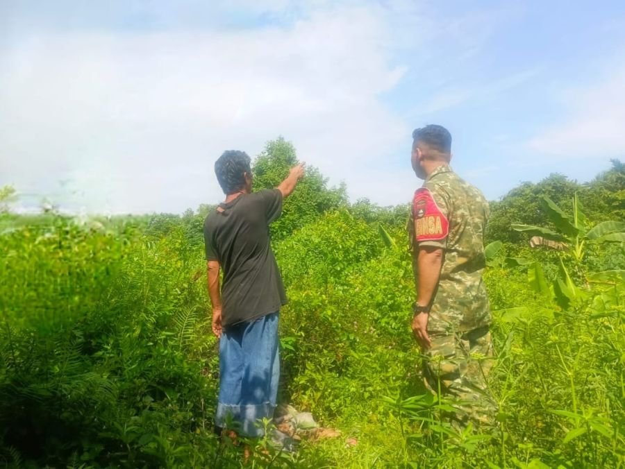 Patroli Rutin Babinsa Perkuat Upaya Pencegahan Karhutla di Rumbai