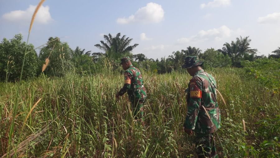 Patroli Rutin Cegah Karhutla, Babinsa Koramil 03/Mandau Berhasil Kondusifkan Wilayah