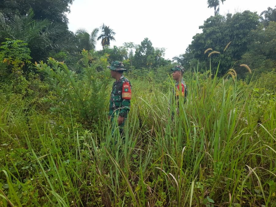 Patroli Rutin Cegah Karhutla, Babinsa Koramil 03/Mandau Awasi Wilayah Desa Petani