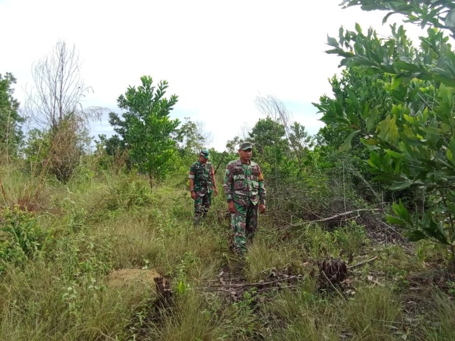 Patroli Rutin Cegah Karhutla di Jalan Rangau-Duri, Kondisi Wilayah Aman