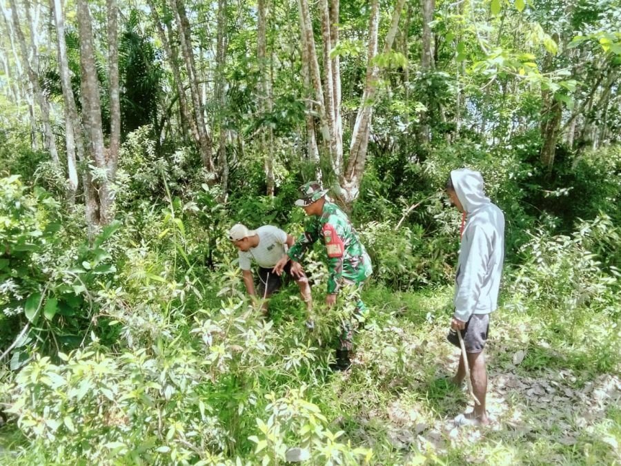Patroli Rutin Karhutla, Babinsa Bukit Batu Ingatkan Bahaya Membakar Lahan